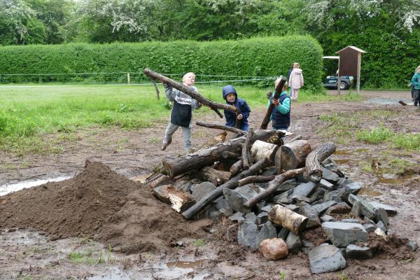 Bild4 Gruenes Klassenzimmer Errichtung Eidechsenhabitat Quelle DGV